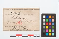Etikett zu Bronzegefäßbeschlagsblech (NHMW-PRAE-025416)